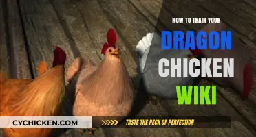 Mastering Dragon Chicken Training: A Comprehensive Wiki Guide for Enthusiasts