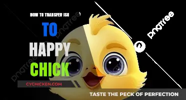 Transfer ISO to Happy Chick: A Simple Step-by-Step Guide