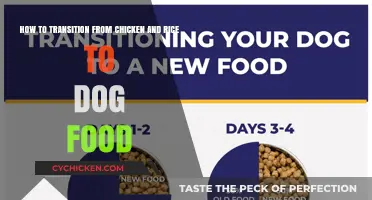 Transitioning Your Dog's Diet: Chicken and Rice to Dog Food
