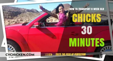 Traveling with Chicks: 30-Minute Road Trip Guide