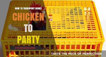 Easy Tips for Safely Transporting Honey Chicken to Your Party
