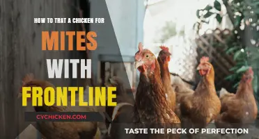 Treating Chicken Mites with Frontline: Effective and Safe