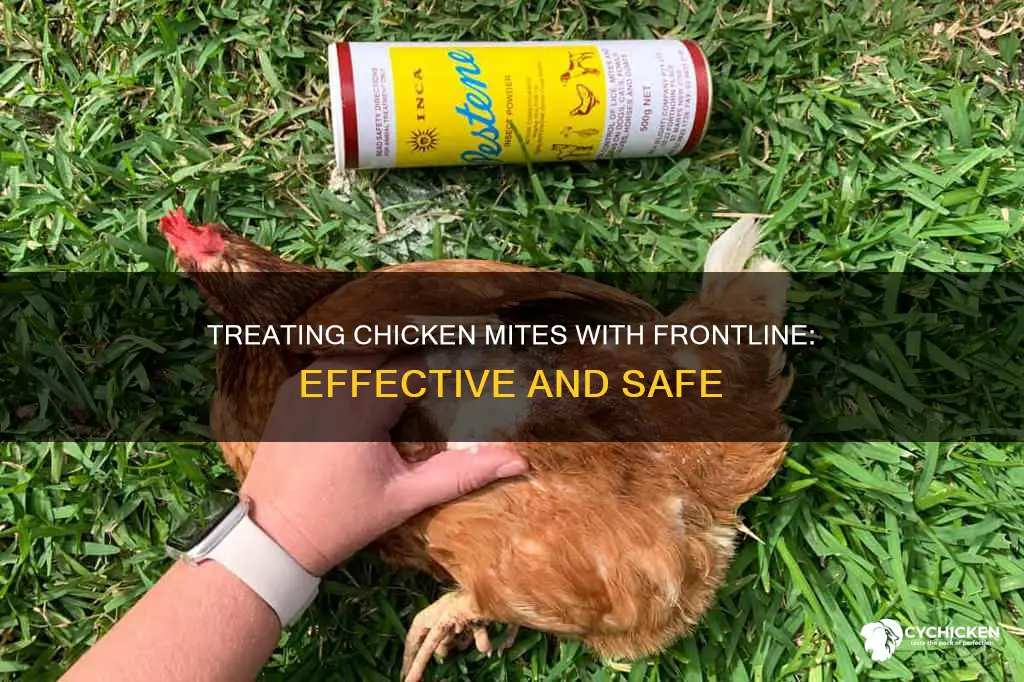 how to trat a chicken for mites with frontline