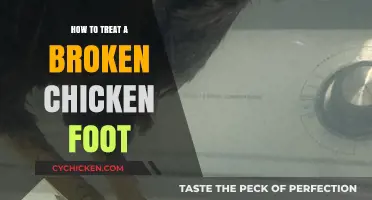 Healing Your Hen: Effective Treatment for a Broken Chicken Foot