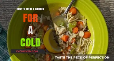 Effective Home Remedies for Treating a Chicken's Cold Symptoms