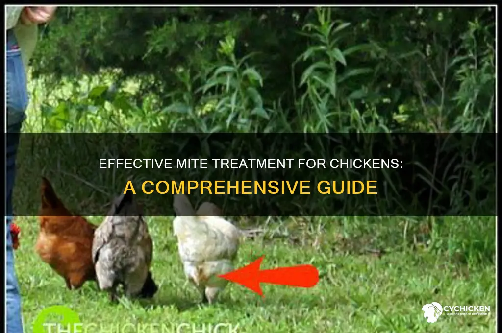 how to treat a chicken for mites