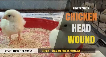 Effective Treatment for Chicken Head Wounds: A Step-by-Step Guide