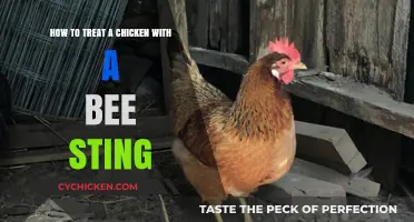 Treating Bee Stings in Chickens: Quick Action Guide