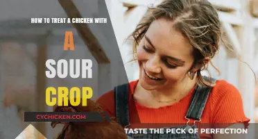 Treating Sour Crop in Chickens: Natural Home Remedies
