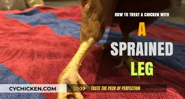 Treating a Sprained Leg in Chickens: A Quick Guide