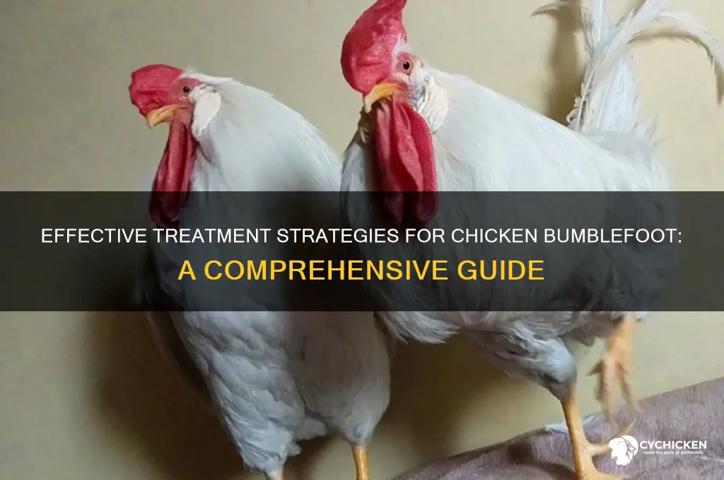 how to treat a chicken with bumblefoot