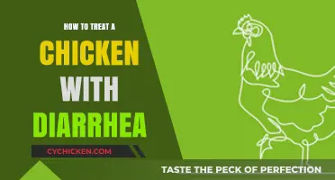 Effective Remedies for Treating Diarrhea in Chickens: A Comprehensive Guide