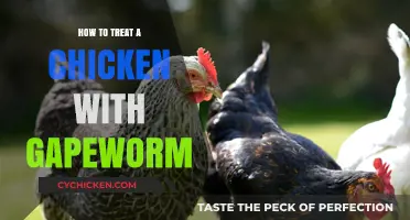 Effective Gapeworm Treatment for Chickens: A Comprehensive Guide