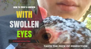 Treating Swollen Eyes in Chickens: Effective Remedies and Care Tips