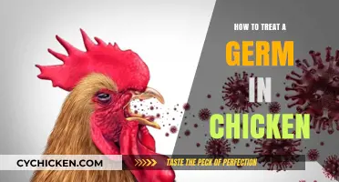Effective Ways to Treat and Prevent Germs in Your Chickens