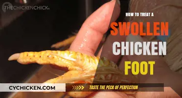Effective Remedies for Treating Swollen Chicken Foot: A Comprehensive Guide