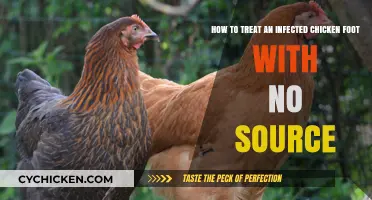 Treating an Infected Chicken Foot: Natural Home Remedies