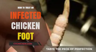 Treating Infected Chicken Foot: Effective Remedies and Care Tips
