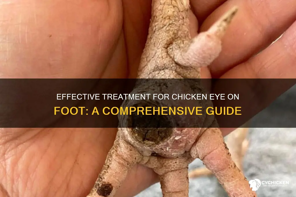 how to treat chicken eye on foot