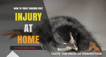 Effective Home Remedies for Treating Chicken Foot Injuries Safely