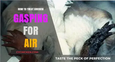 Effective Remedies for Chickens Gasping for Air: A Comprehensive Guide