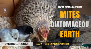 Effective Chicken Lice Mites Treatment Using Diatomaceous Earth Guide