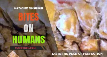 Effective Remedies for Soothing and Treating Chicken Mite Bites on Humans