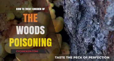 Treating Chicken of the Woods Poisoning: Symptoms, Remedies, and Recovery Tips