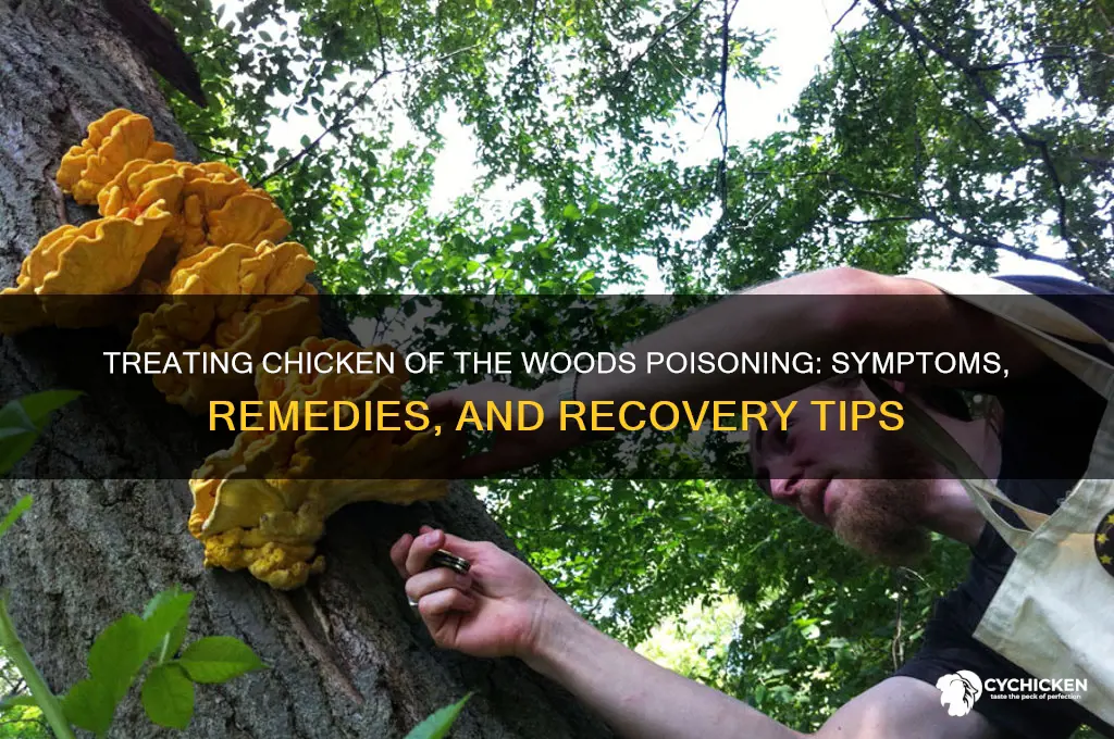 how to treat chicken of the woods poisoning