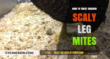 Effective Treatment for Chicken Scaly Leg Mites: A Comprehensive Guide