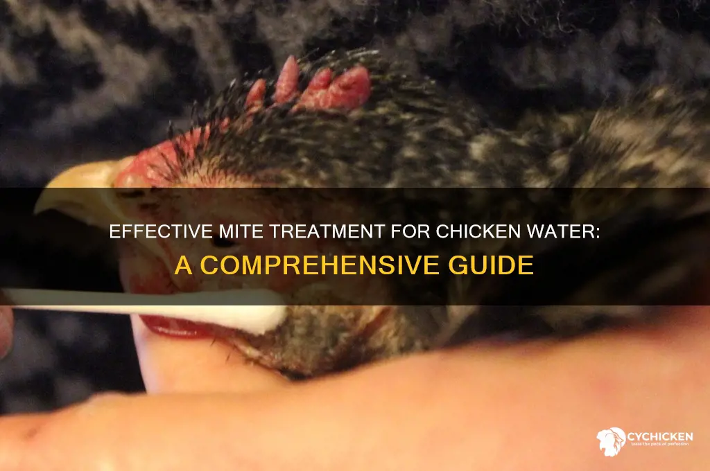 how to treat chicken water for mites