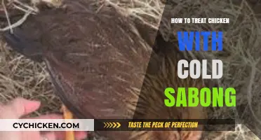 Effective Cold Sabong Treatment for Chickens: A Comprehensive Guide