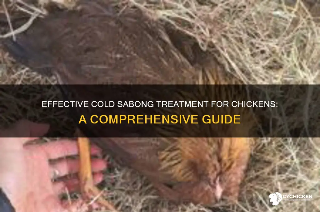 how to treat chicken with cold sabong