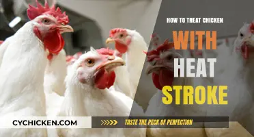 Effective Heat Stroke Treatment for Chickens: Quick and Safe Remedies