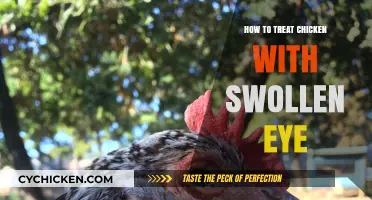 Effective Remedies for Treating Swollen Eyes in Chickens: A Guide