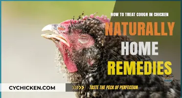Natural Home Remedies to Treat Chicken Cough