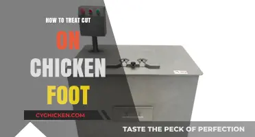 Effective Ways to Treat and Heal Cuts on Chicken Feet
