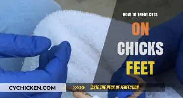 Healing Chick Foot Cuts: Simple and Effective Treatment Tips