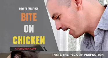 Effective Treatment for Chicken Dog Bites: A Step-by-Step Guide