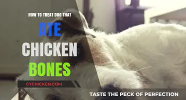 Emergency Care: Treating Dogs That Ingest Chicken Bones Safely