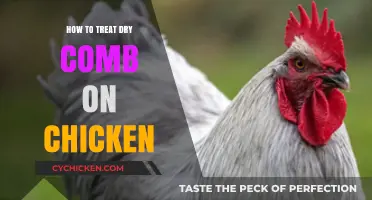 Effective Remedies for Treating Dry Comb in Chickens: A Comprehensive Guide