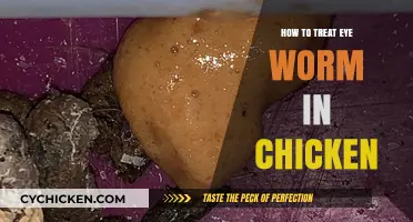 Effective Treatment and Prevention of Eye Worms in Chickens