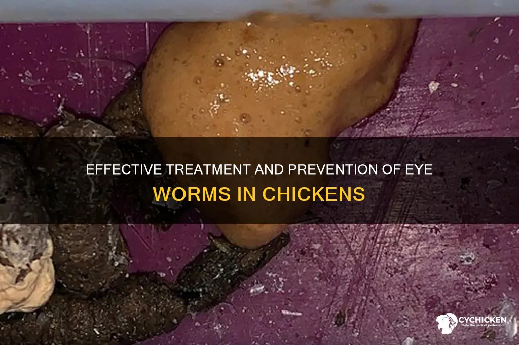 how to treat eye worm in chicken