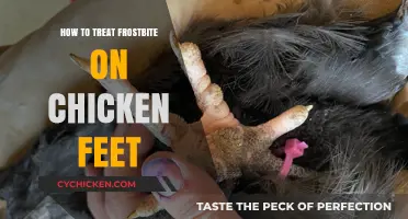 Effective Frostbite Treatment for Chicken Feet: A Comprehensive Guide