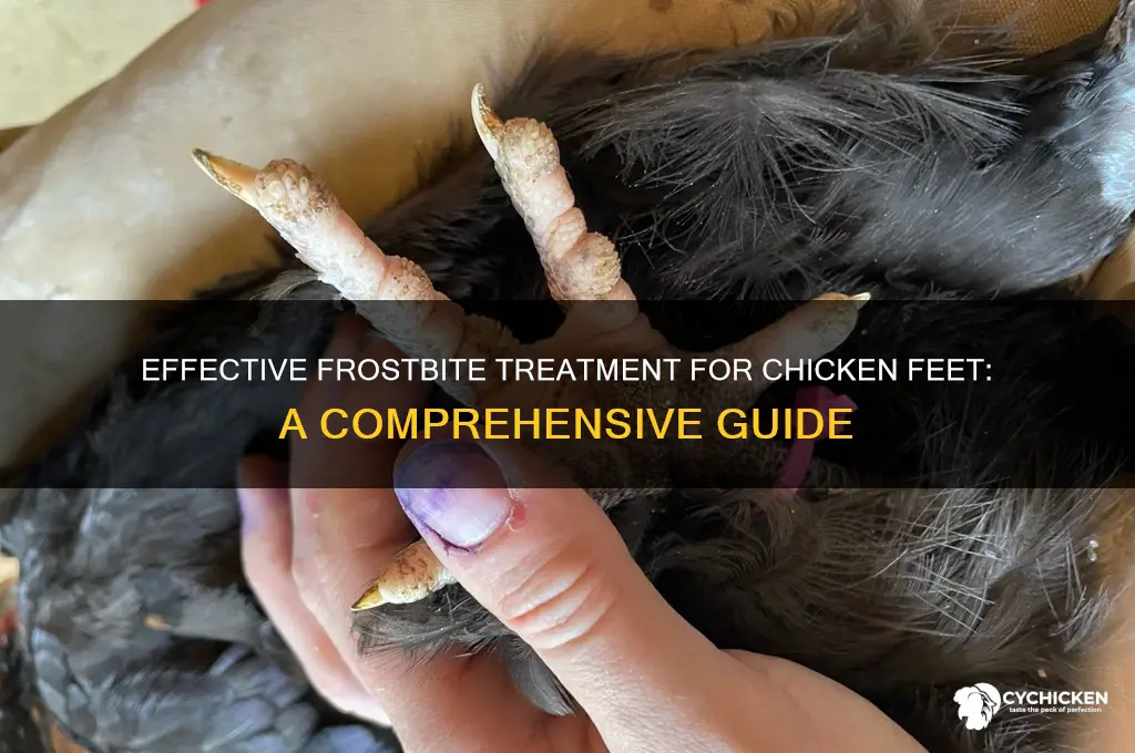 how to treat frostbite on chicken feet