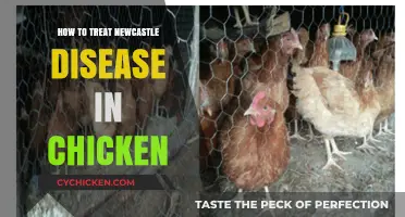 Effective Treatment Strategies for Newcastle Disease in Chickens