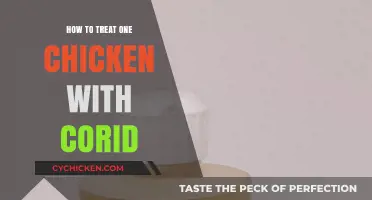 Effective Corid Treatment for a Single Chicken: A Step-by-Step Guide