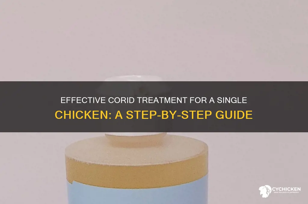 how to treat one chicken with corid