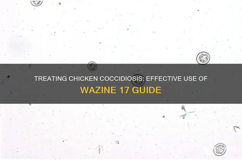 how to treat one chicken with wazine 17
