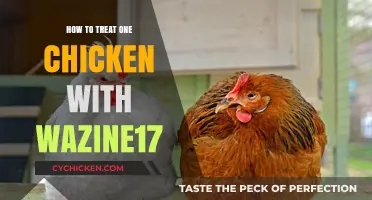 Effective Wazine17 Treatment for a Single Chicken: A Step-by-Step Guide